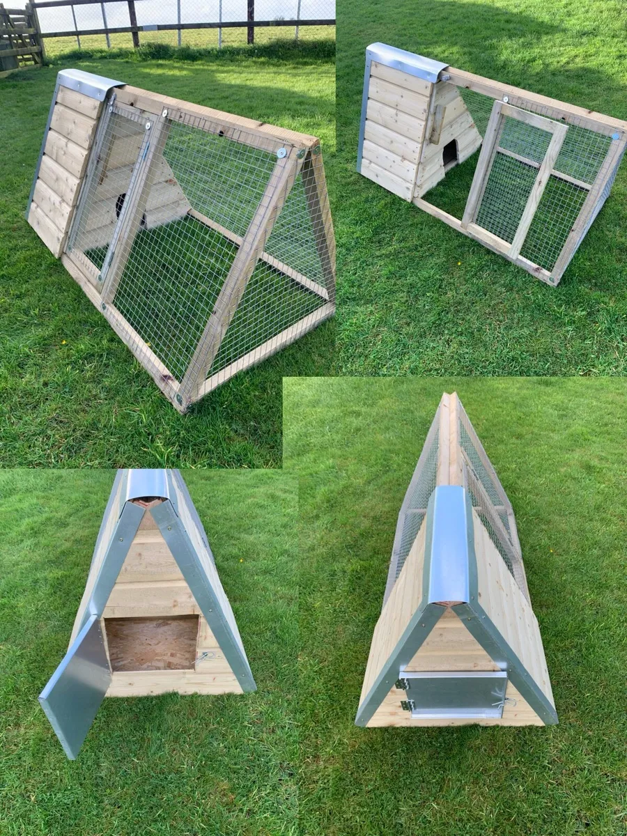Rabbit/Animal Hutches - Image 1