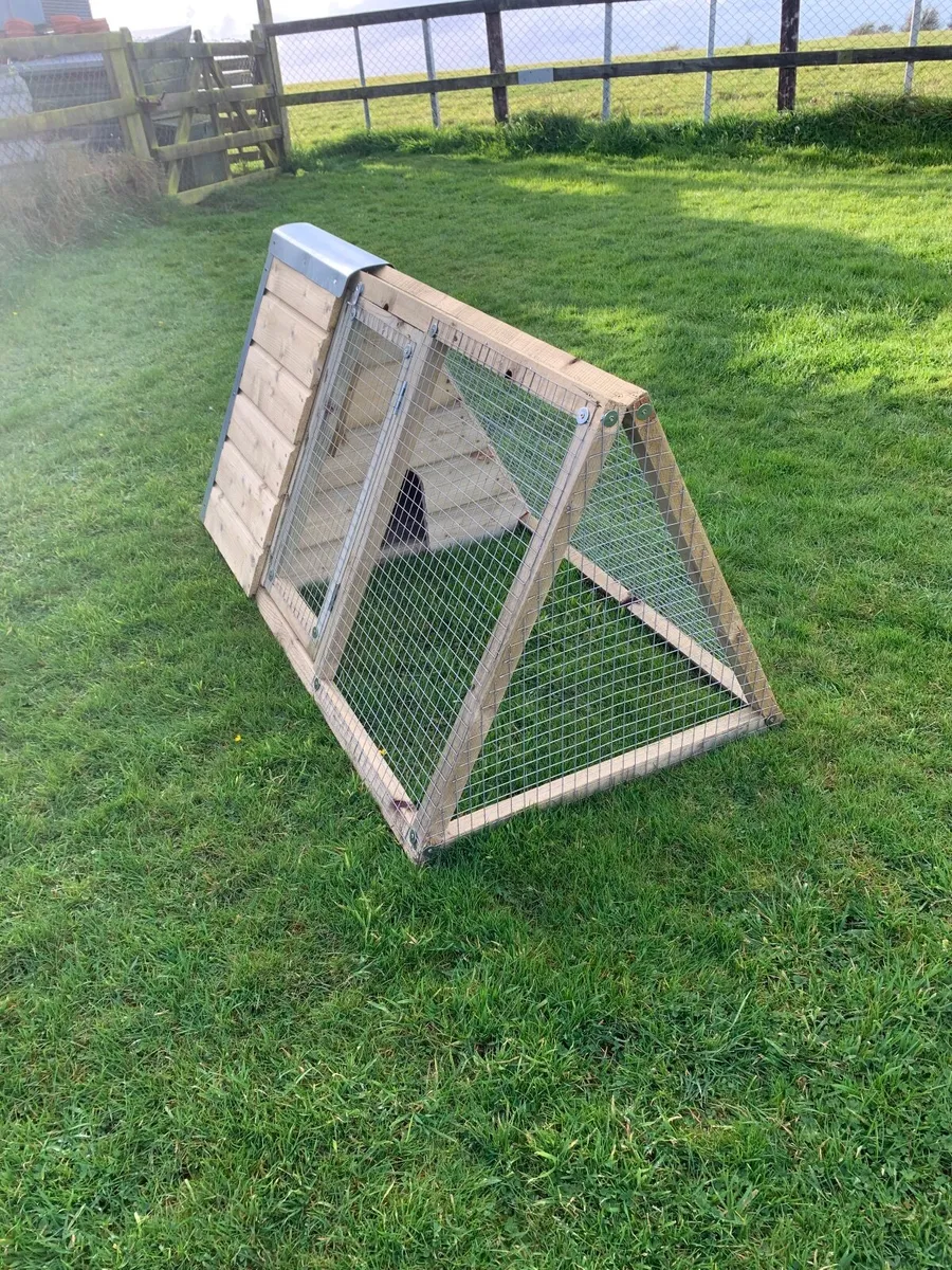 Rabbit/Animal Hutches - Image 2