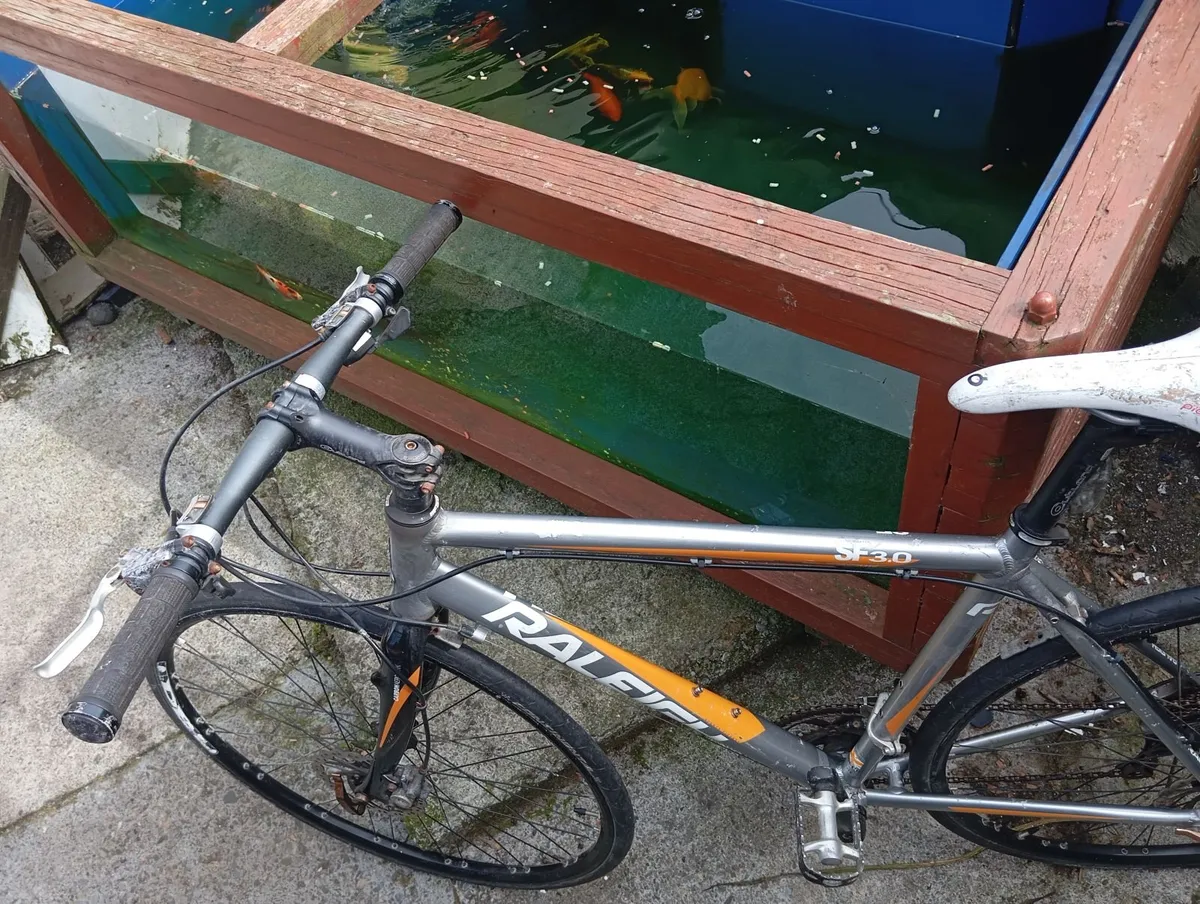 Bike - Image 2