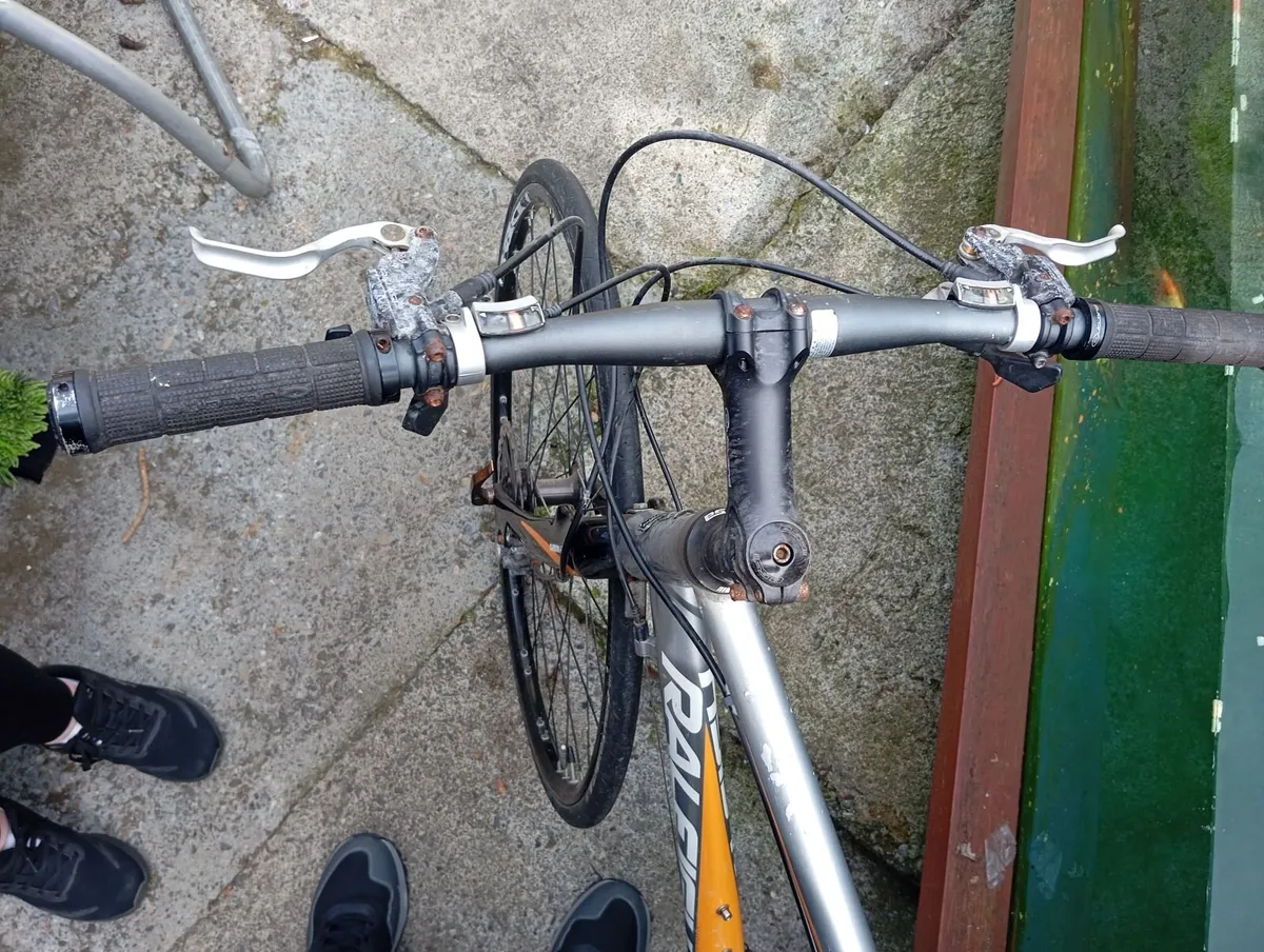 Bike - Image 3