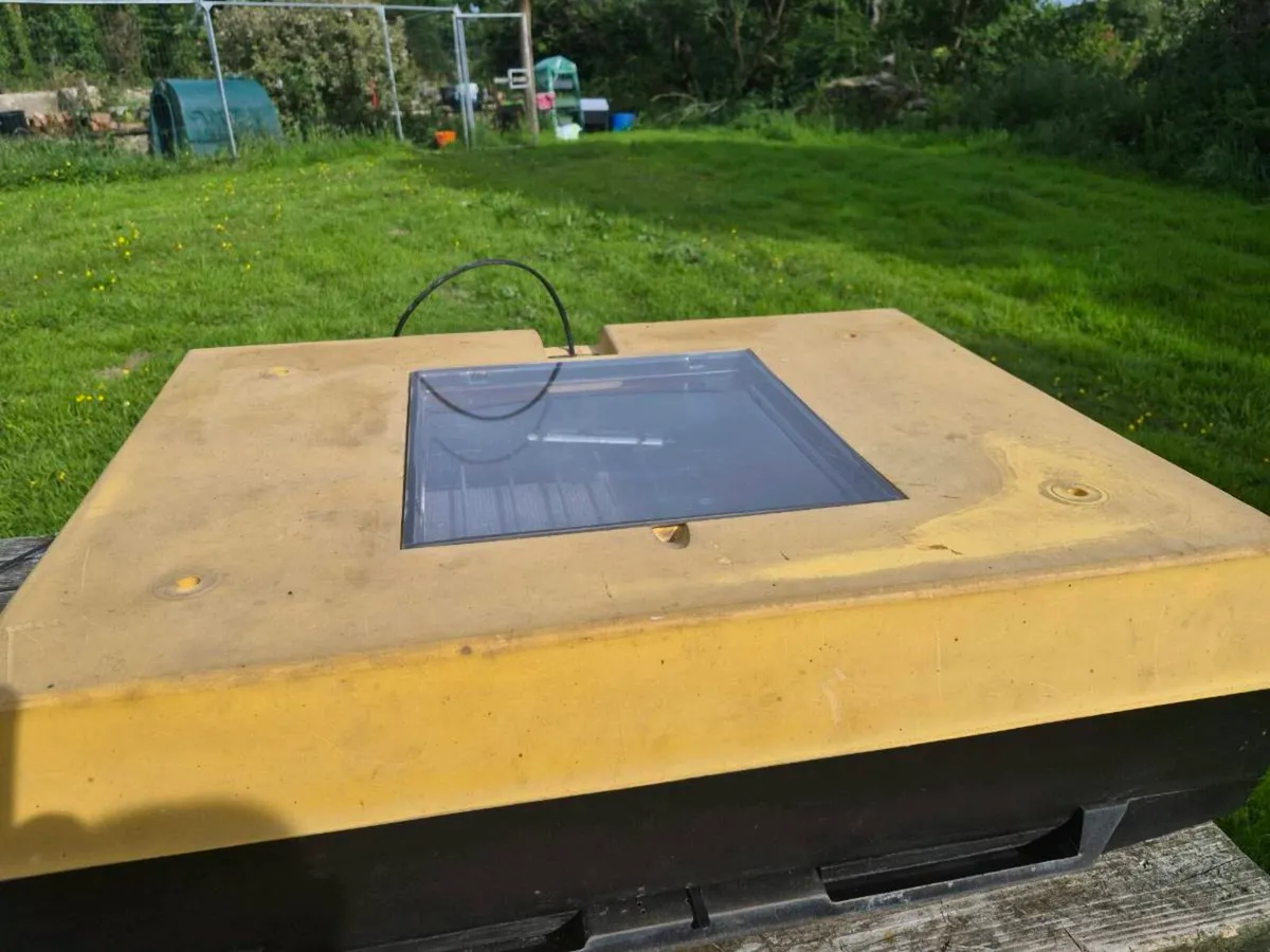 Incubator - Image 1