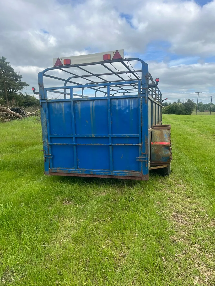 16ft cattle trailer - Image 3