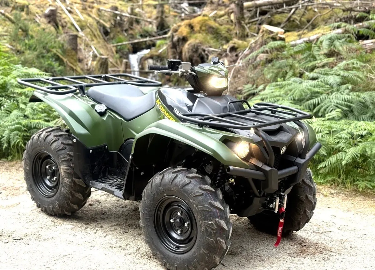 2025 Yamaha kodiak 700 - Image 1