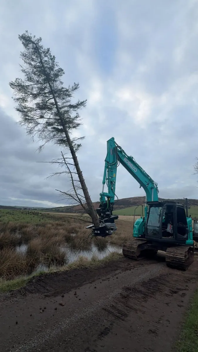 Murray Plant MTS300 Tree Shear - Image 3