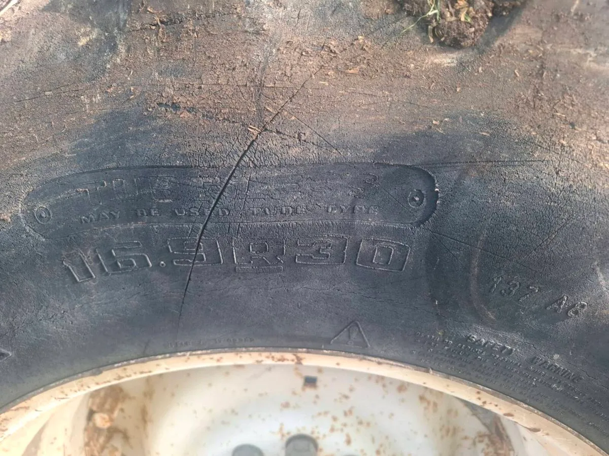 Two Back tyres wanted 16.9 x 30 - Image 1