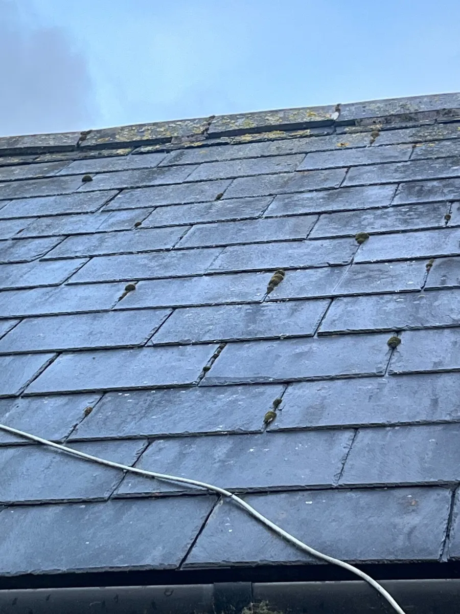 Natural slates - Image 1