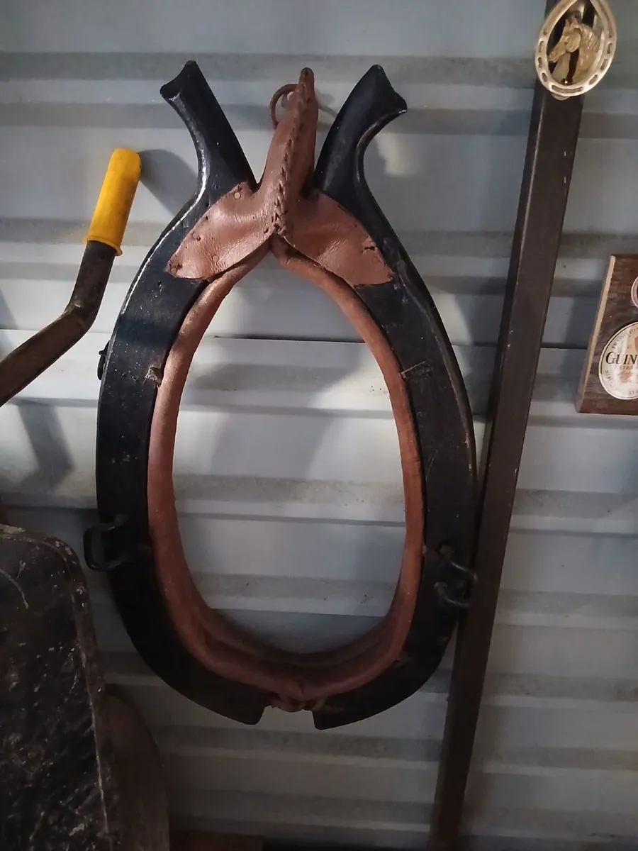 Horse collar