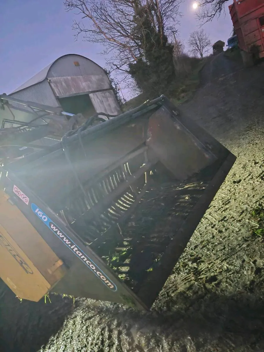 Beet bucket - Image 4