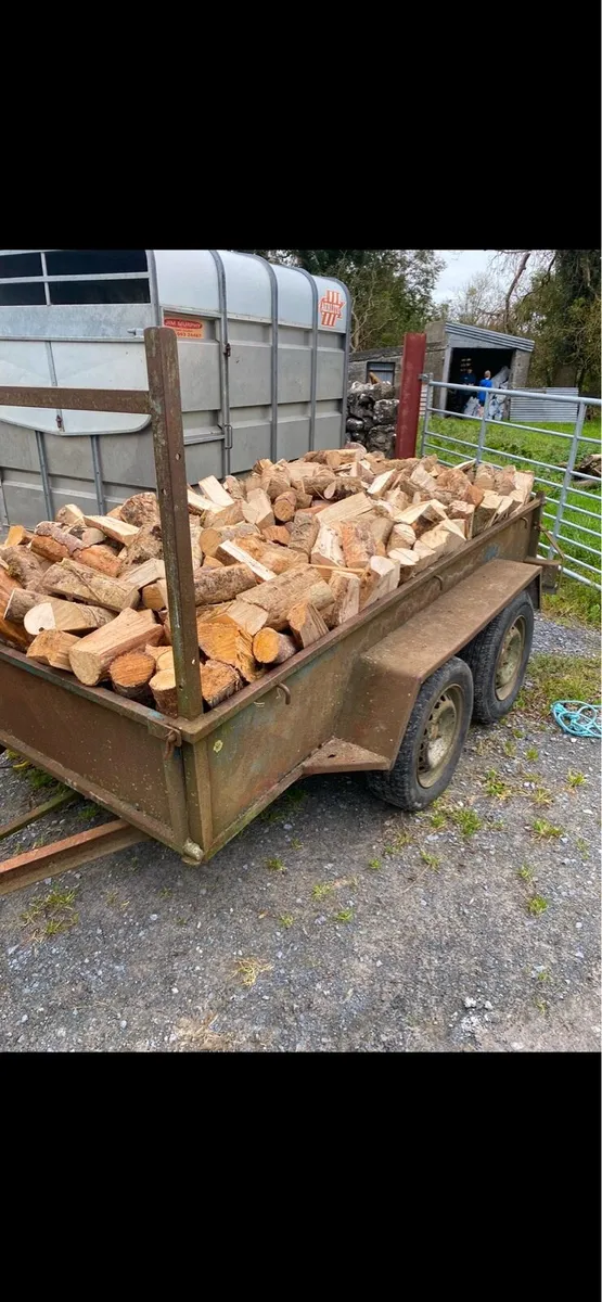 Seasoned ash