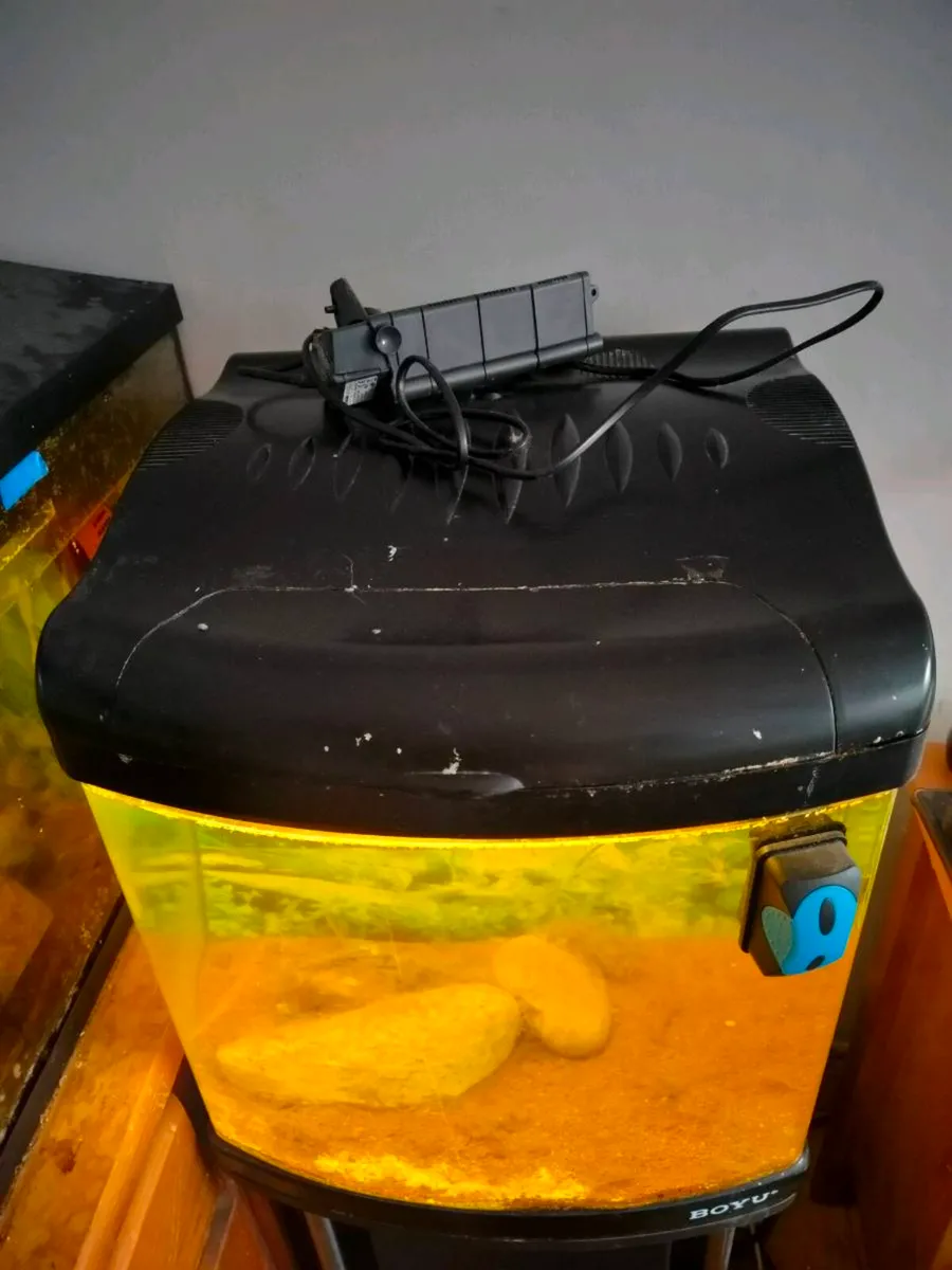 80ltr Boyu fish tank and stand - Image 3