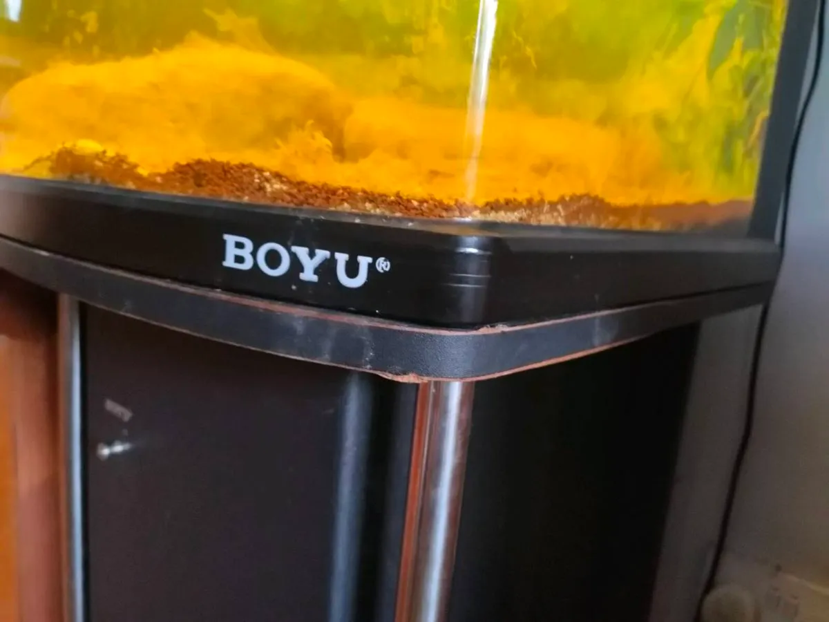 80ltr Boyu fish tank and stand - Image 4