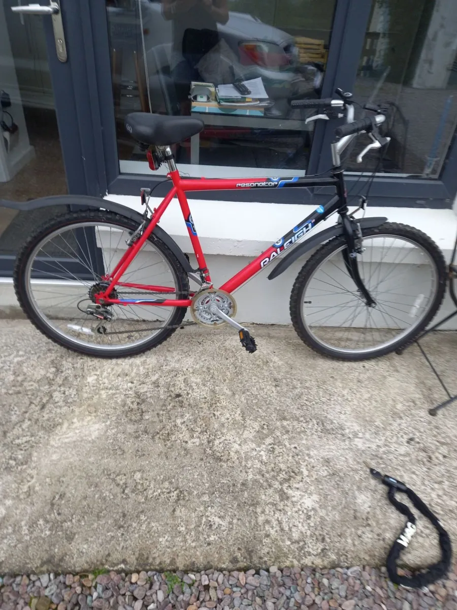 Raleigh Bike - Image 1