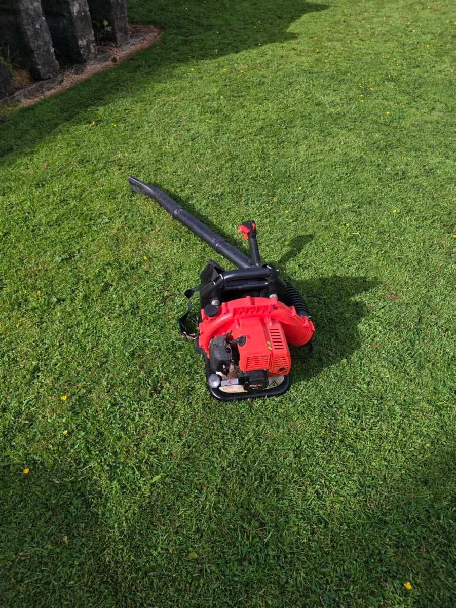 Leaf blower - Image 1