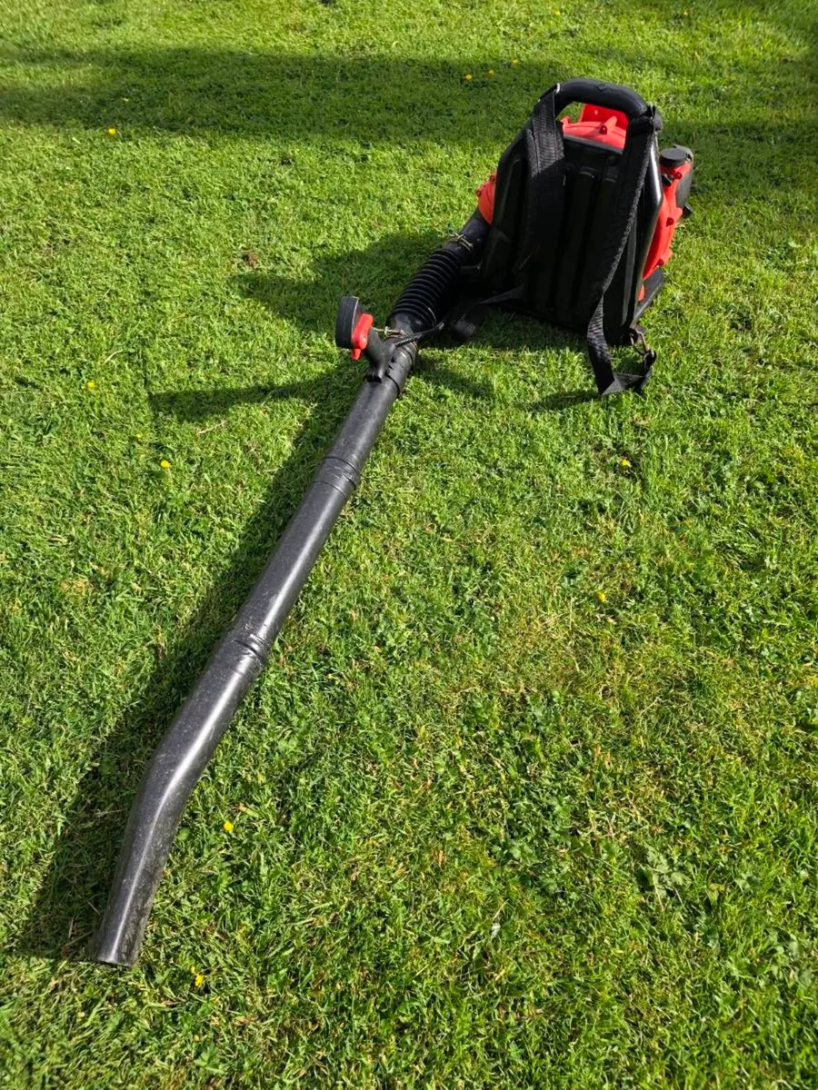 Leaf blower - Image 2