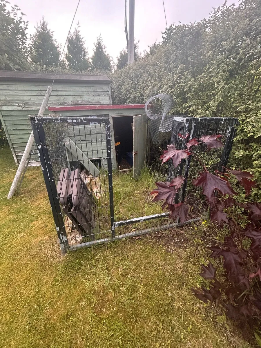 Dog Fence - Image 1