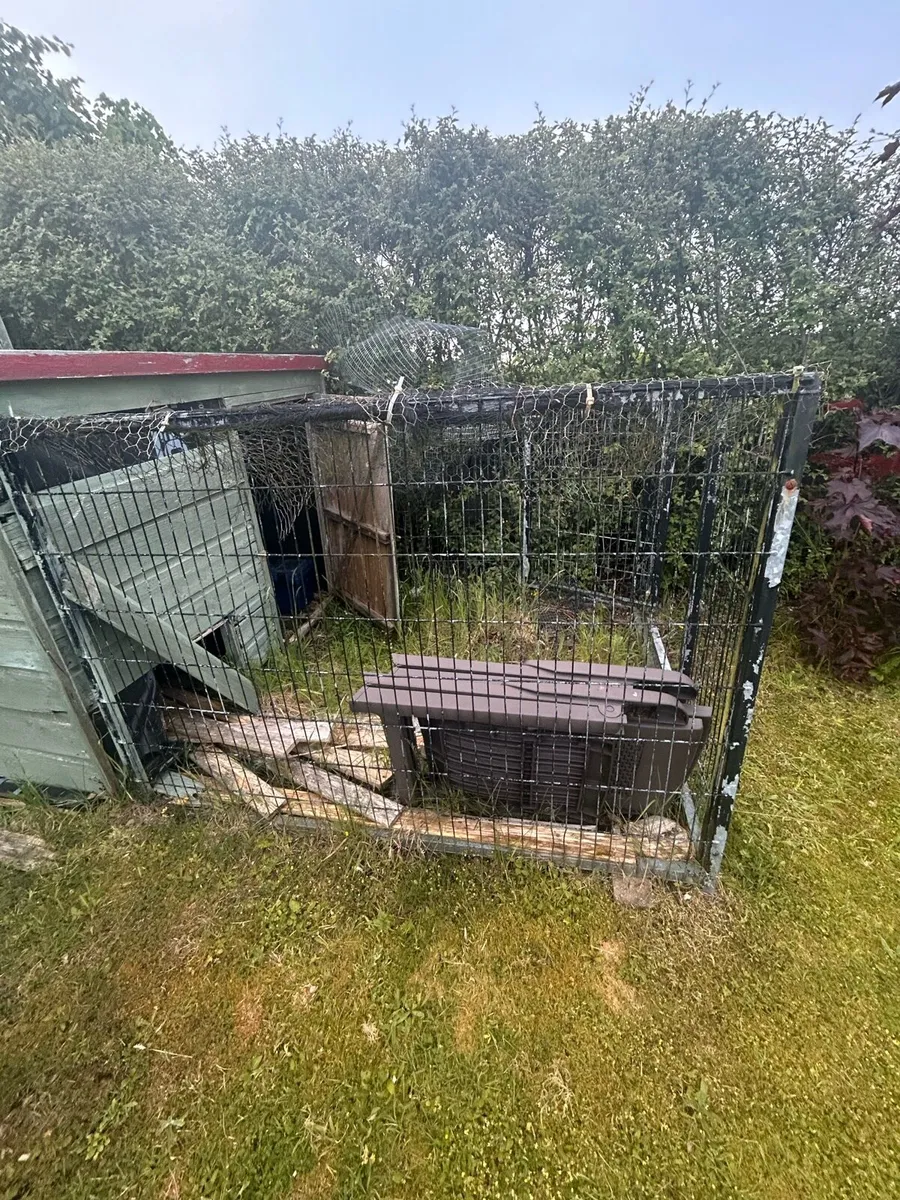 Dog Fence - Image 2
