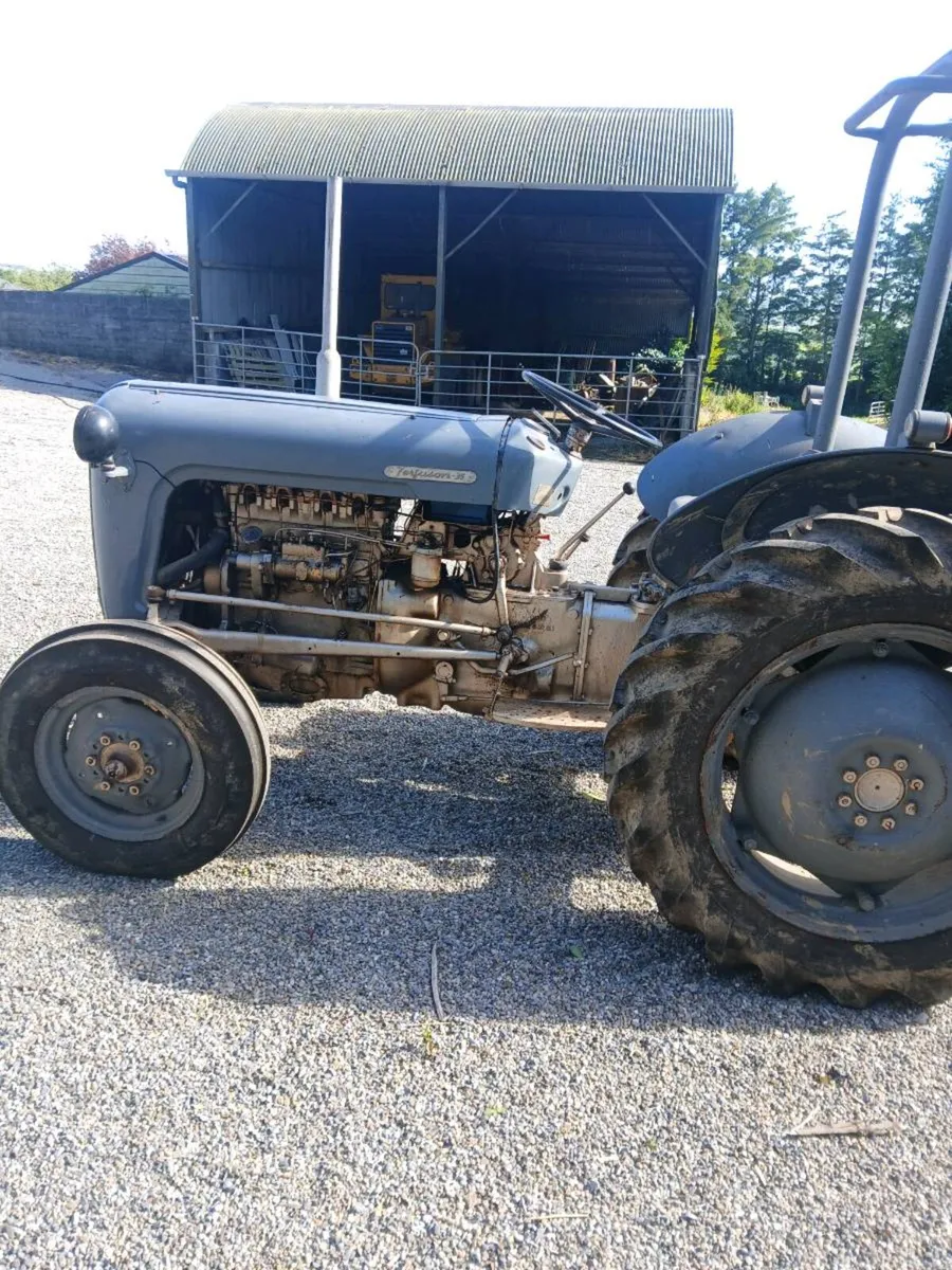 Ferguson 35 - Image 4