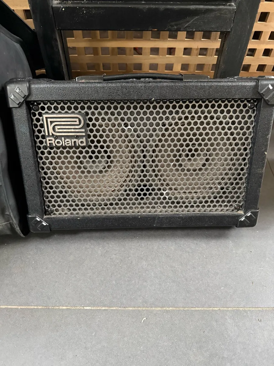 Roland Cube Ex Street and Cube Amps - Image 2
