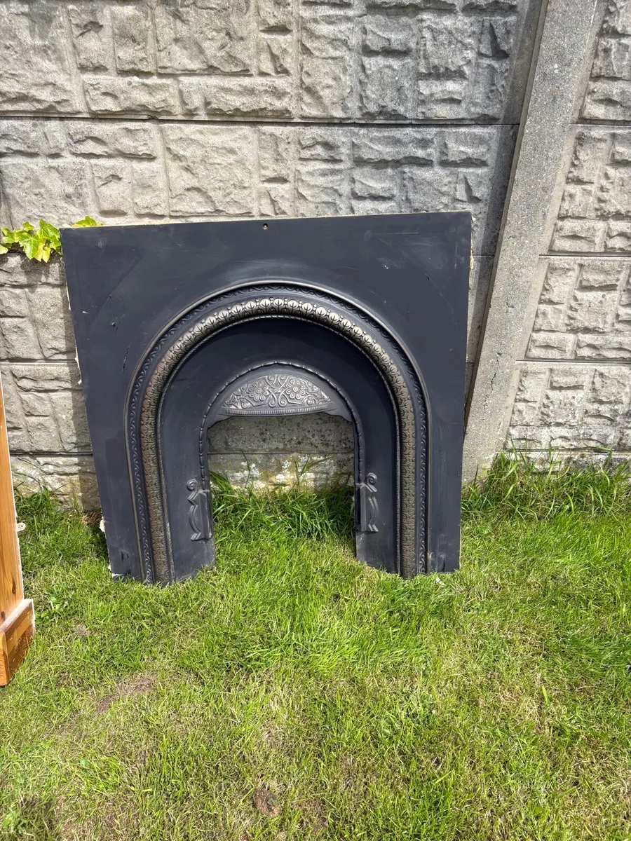 Fire surround  and insert - Image 2