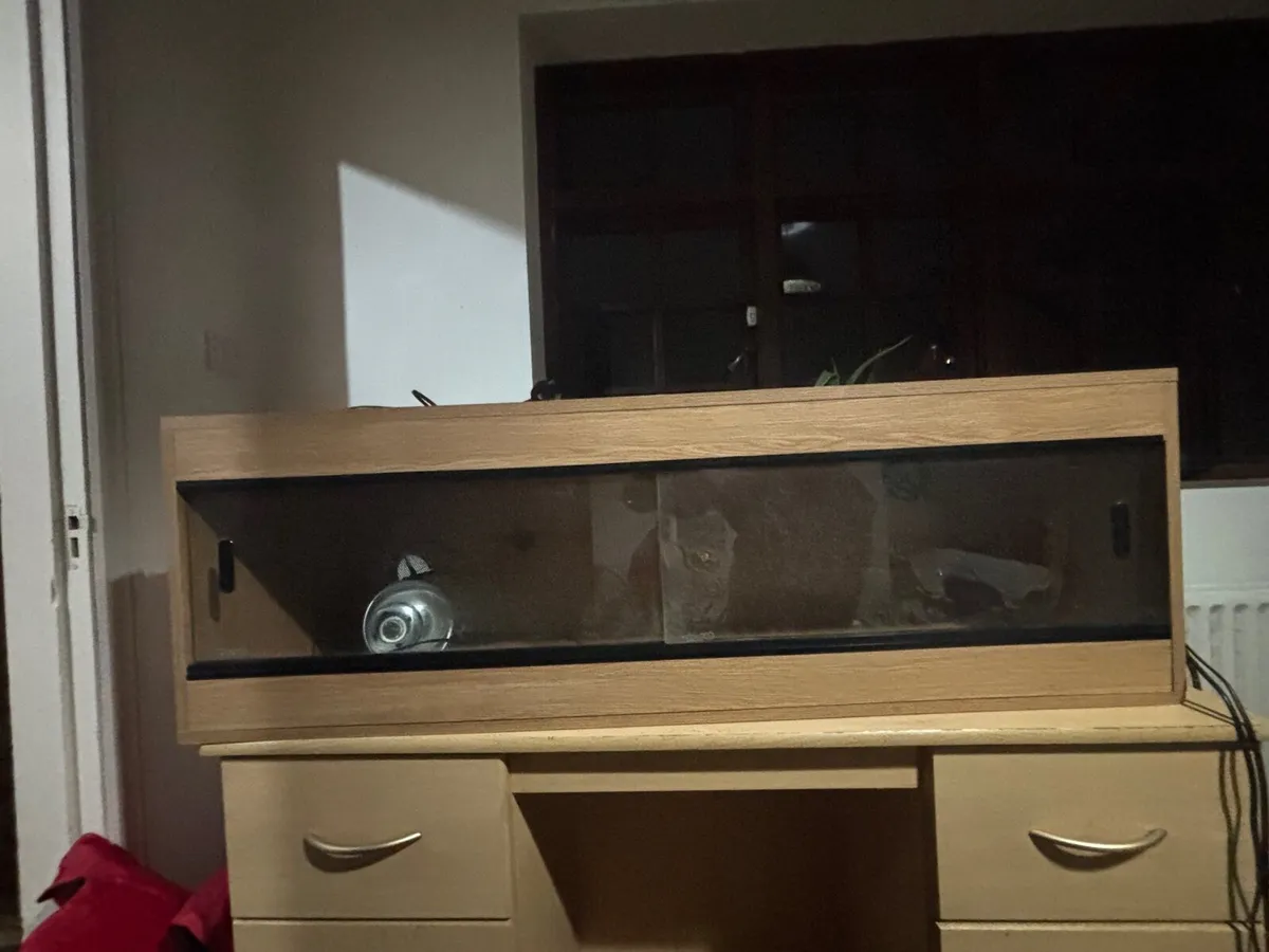 Terrarium - Image 2