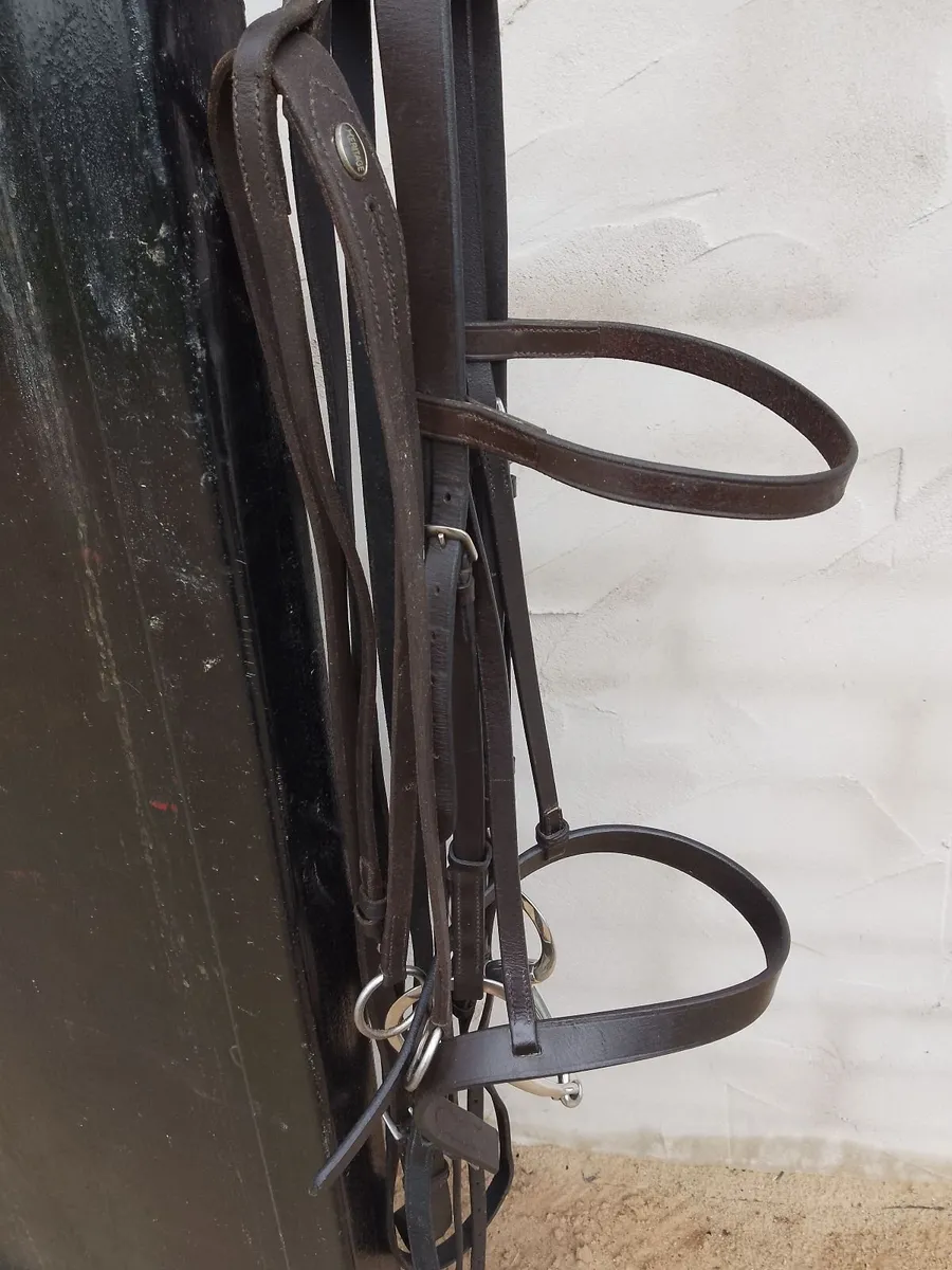 Horse Bridle - Image 2