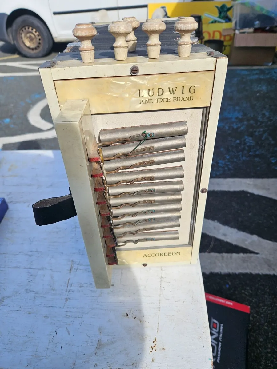 Vintage Accordeon - Image 2