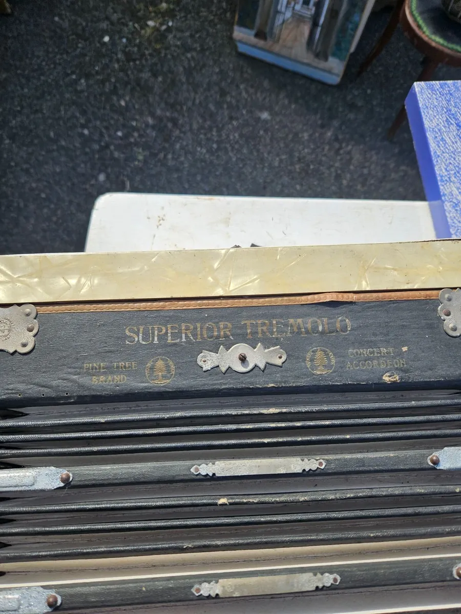 Vintage Accordeon - Image 4