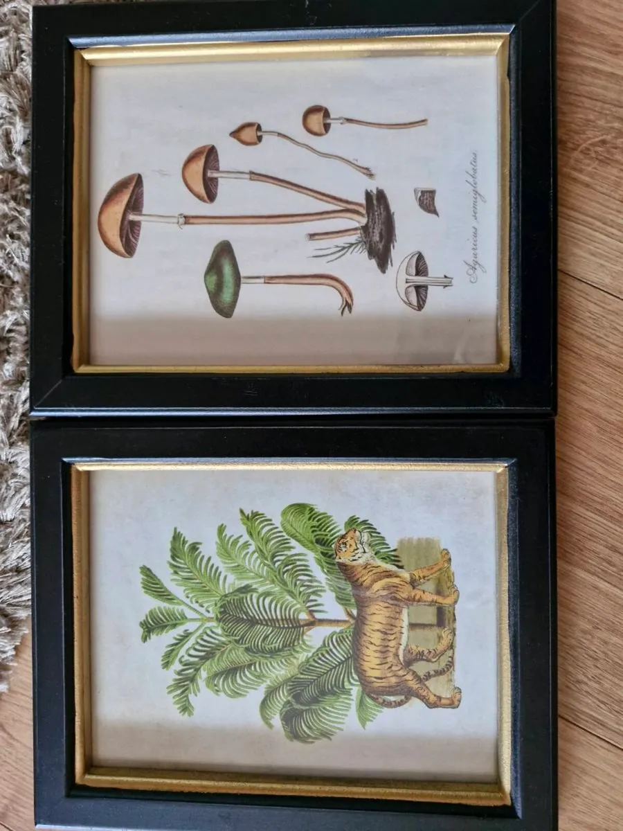 Pictures - Image 1