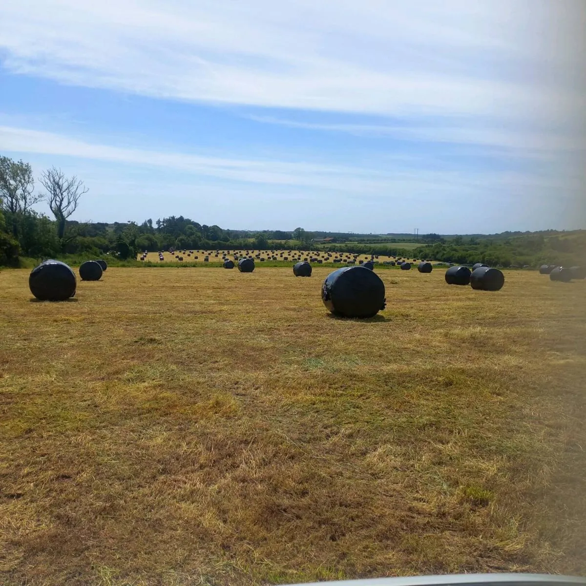 Silage bales - Image 2