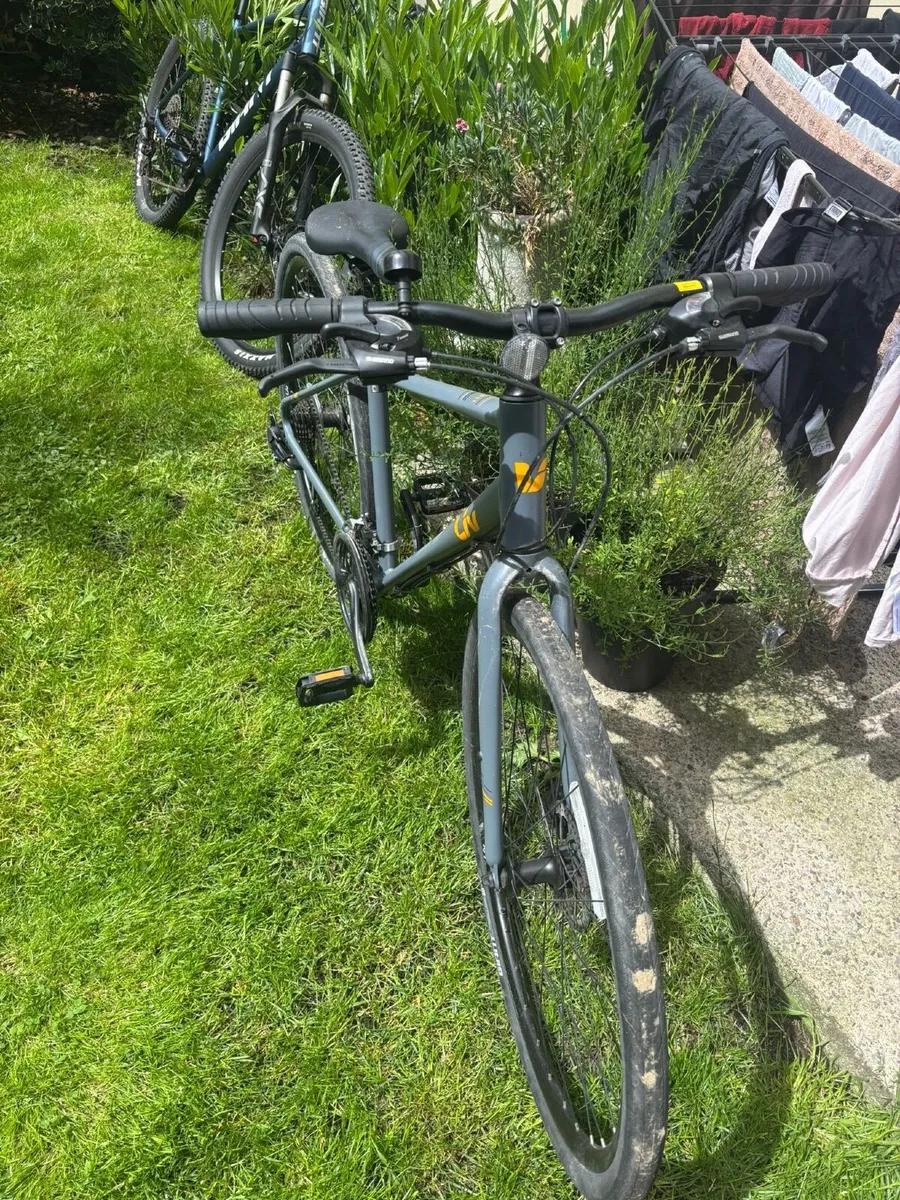 Giant Alight Ladies Bike with disc brakes - Image 4