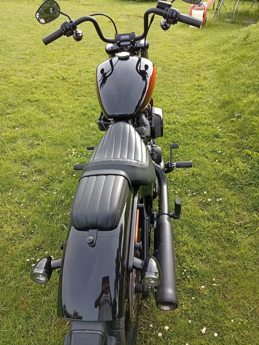 HARLEY DAVIDSON Street Bob 2025 - Image 1