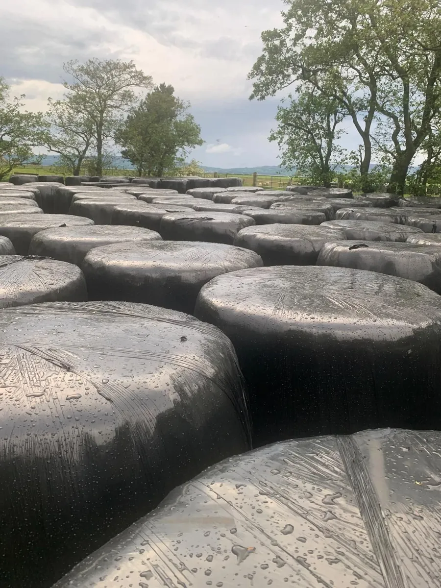Wrapped Silage Round Bales - Image 1