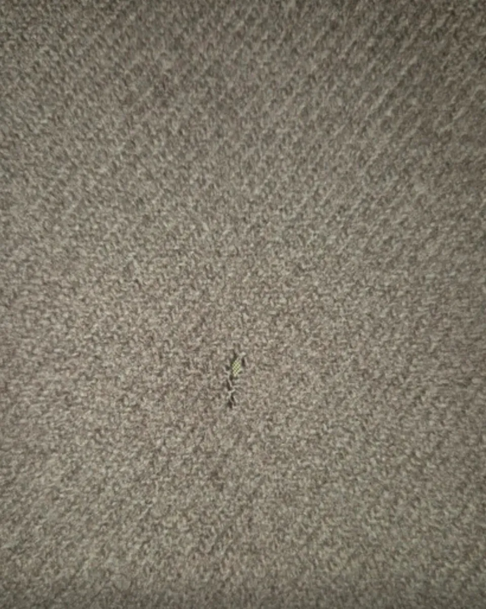 Shaws Wool Coat – Made in Holland - Image 4