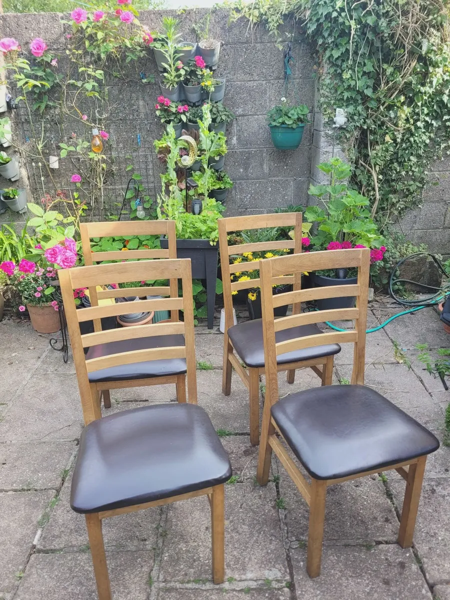6 Oak dining room chairs - Image 1