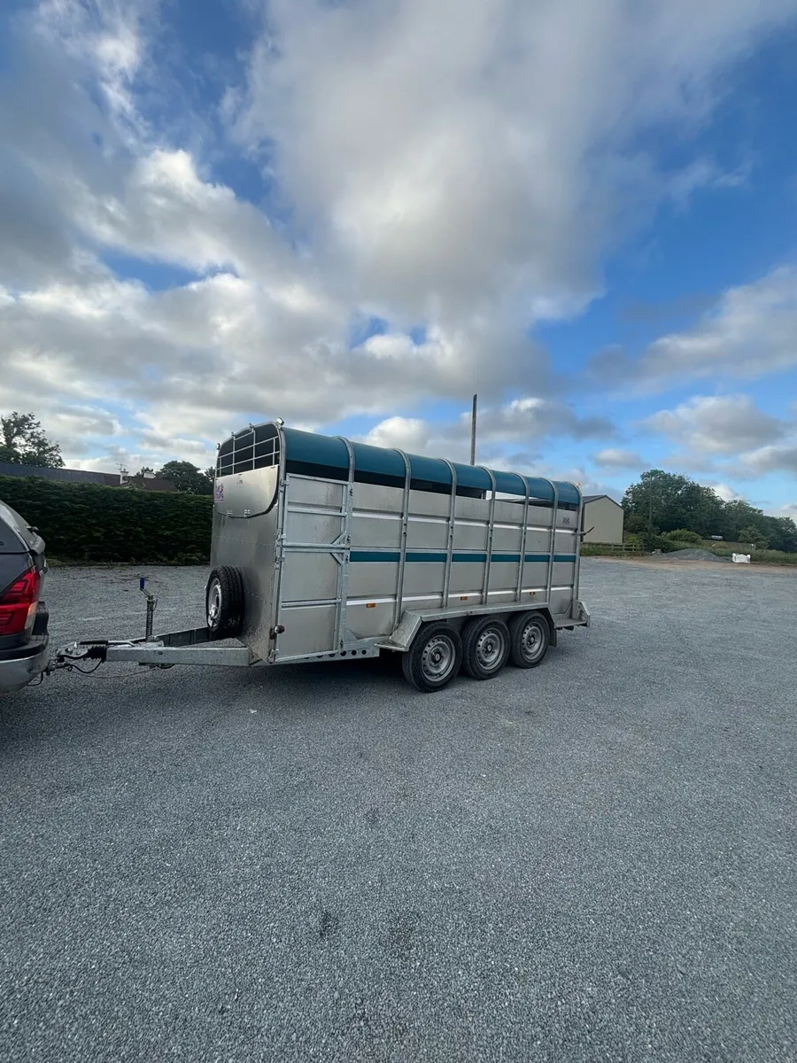 Tuff Mac trailer - Image 2