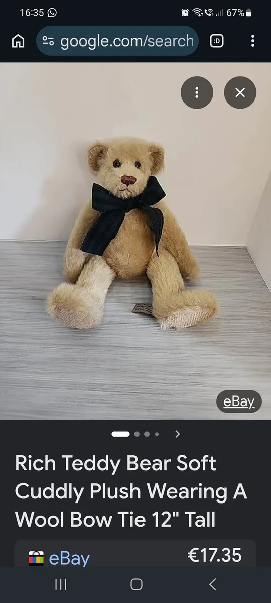 Rich Teddy Bear - Image 3