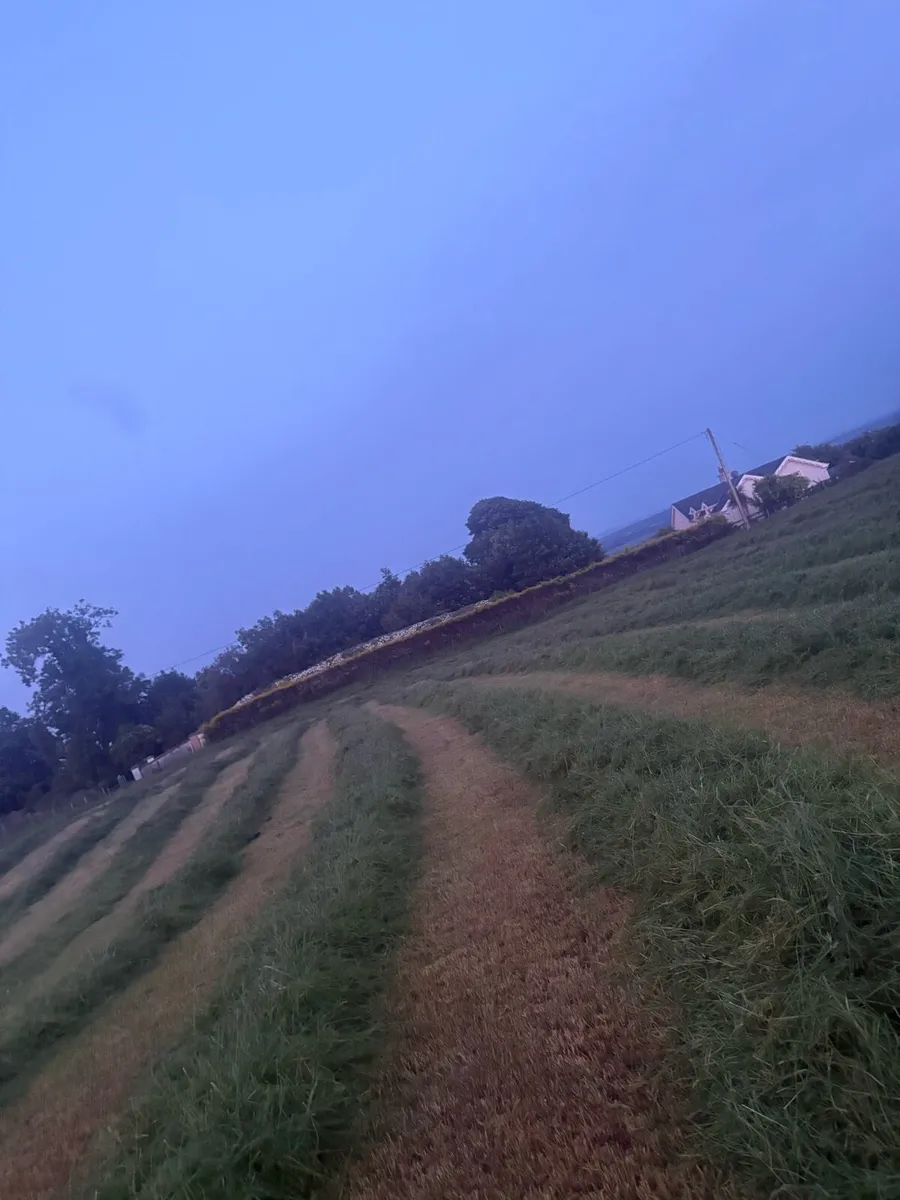 Silage bales - Image 2