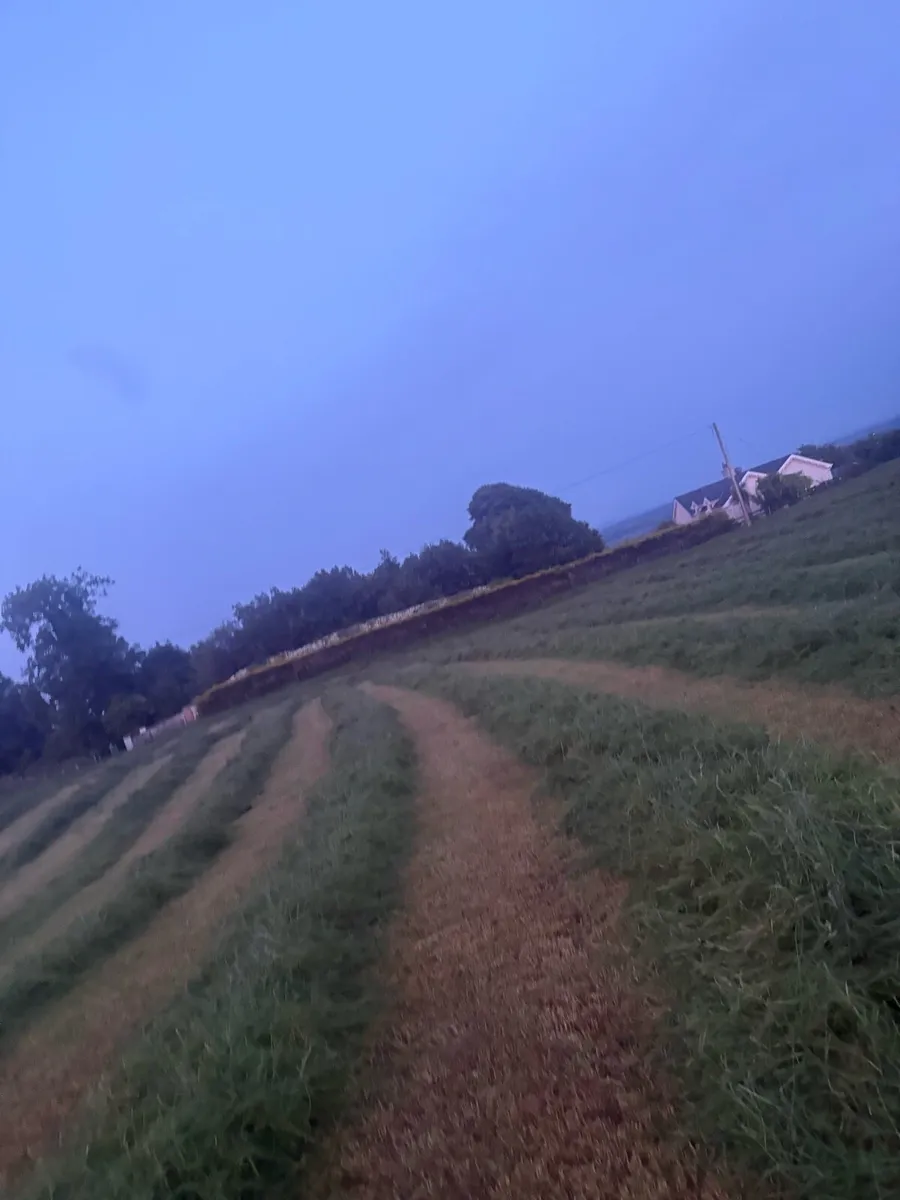 Silage bales - Image 3