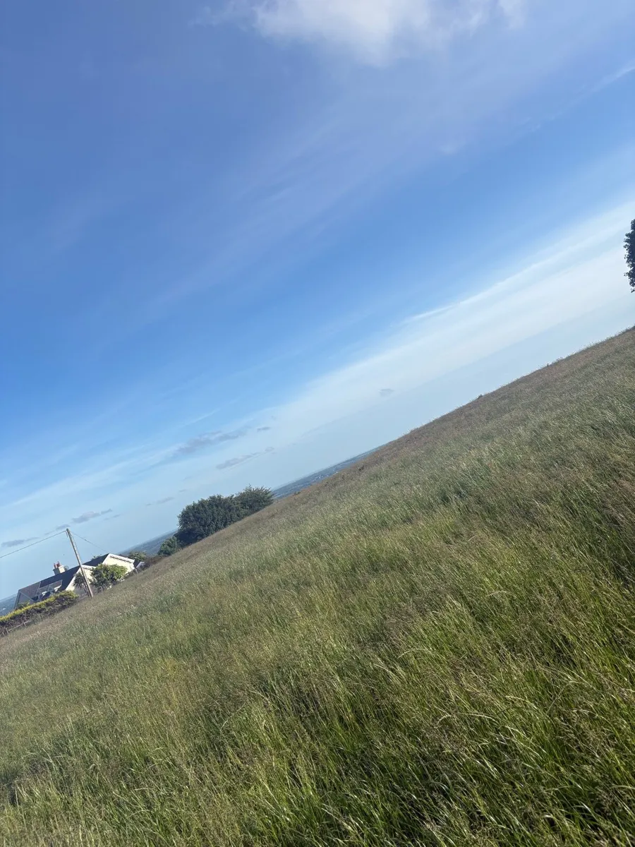 Silage bales - Image 4