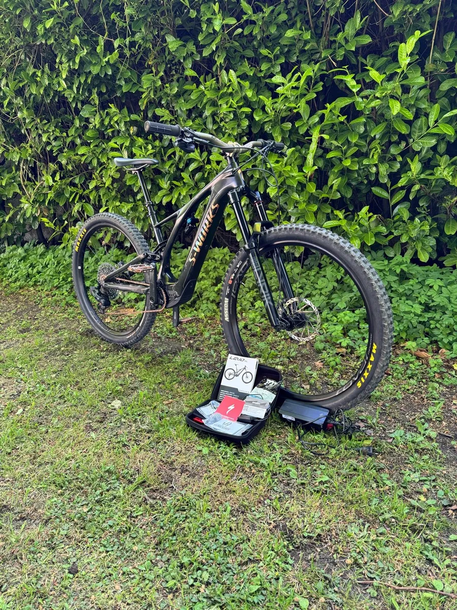 Electric S Works Levo SL - Image 1