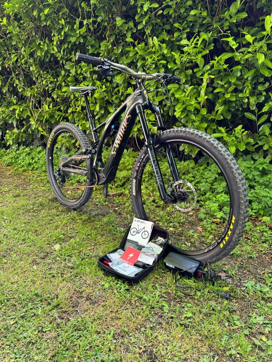 Electric S Works Levo SL - Image 2