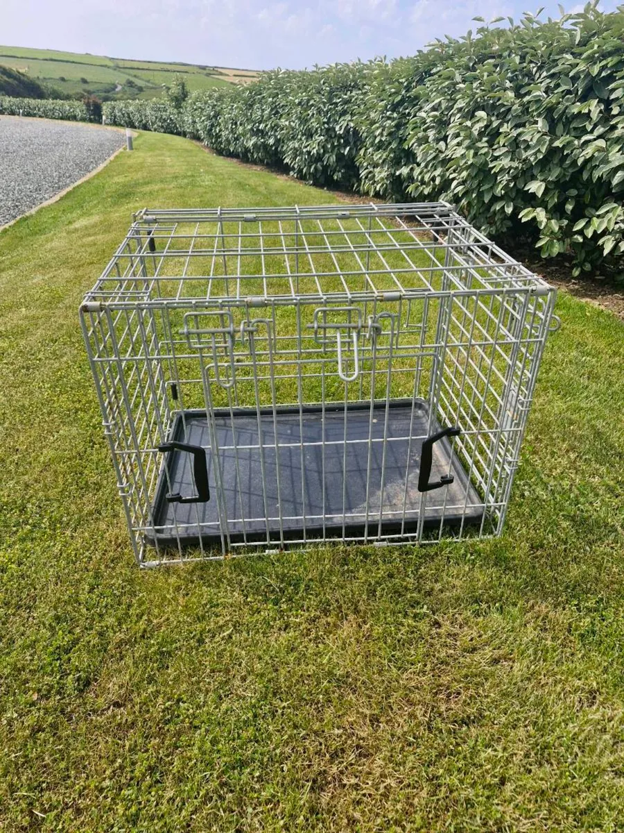Dog crate - Image 1