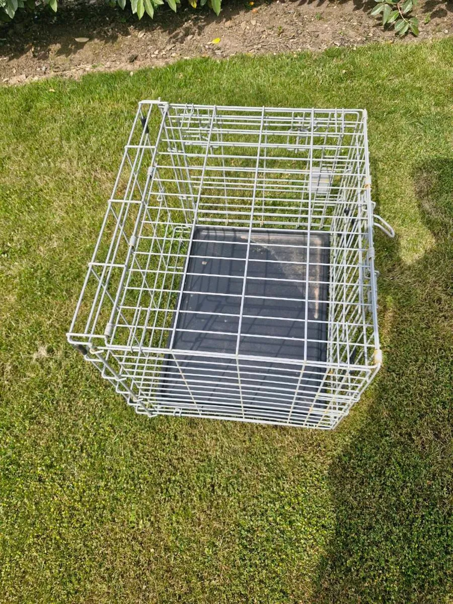 Dog crate - Image 2