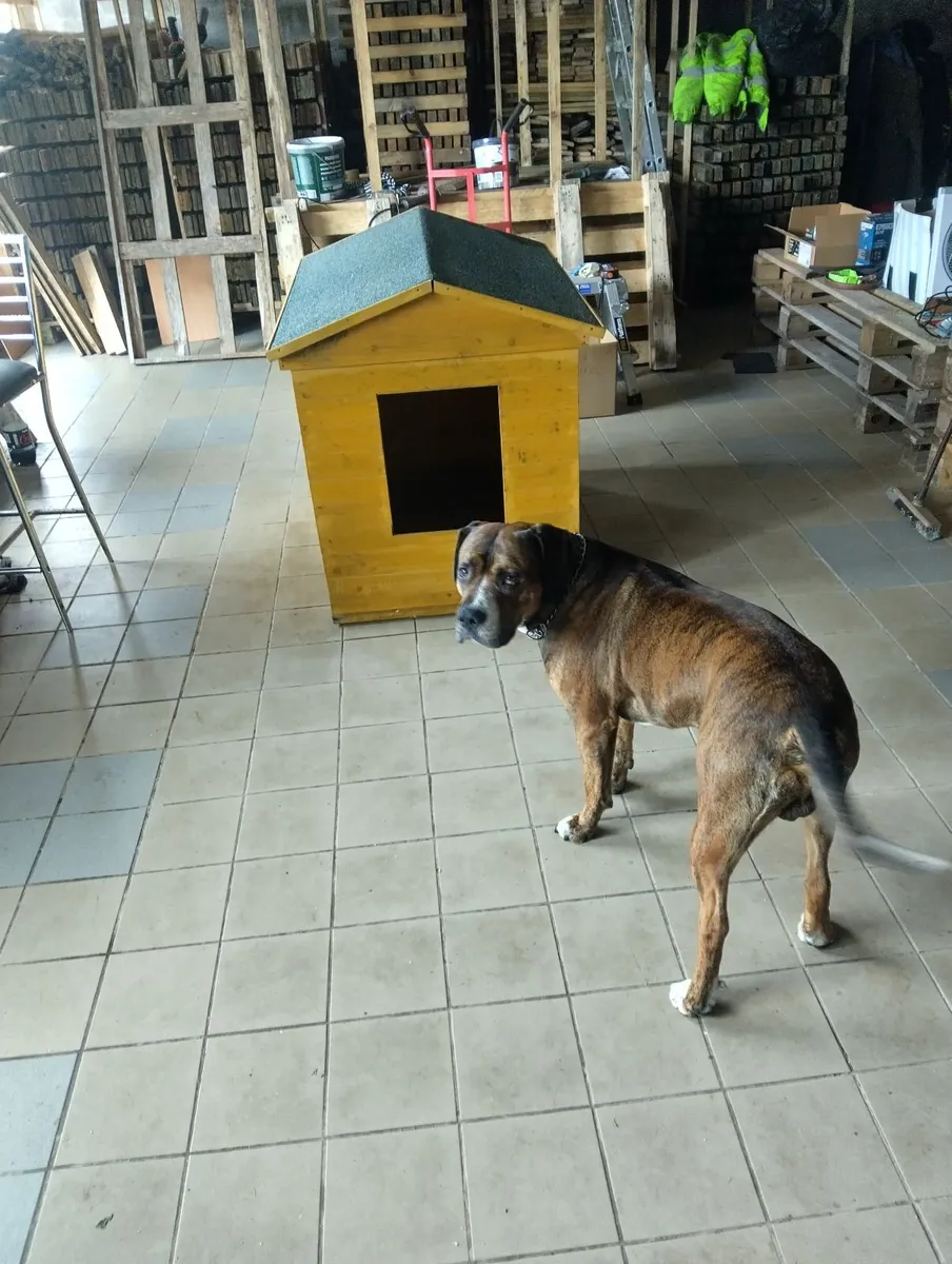 Petstop new dog house for sale. - Image 1