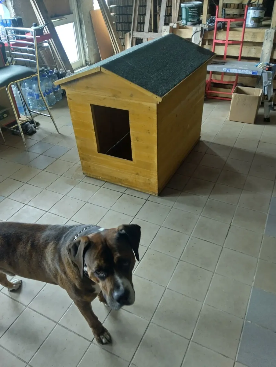 Petstop new dog house for sale. - Image 4