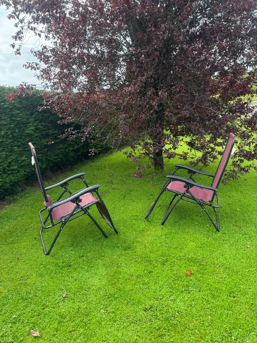 Sun Reclining chairs - Image 4
