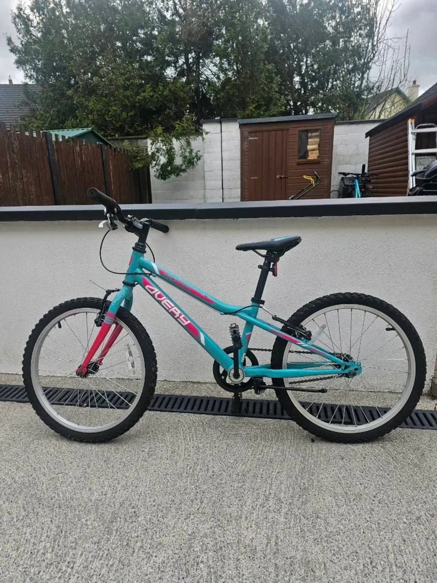 Girls 20 inch mountain bike