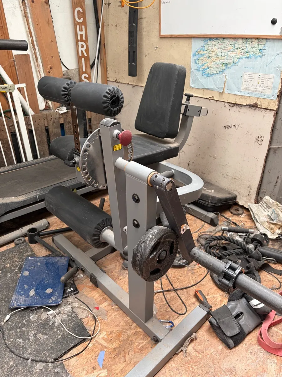 Leg extension and hamstring curl - Image 1