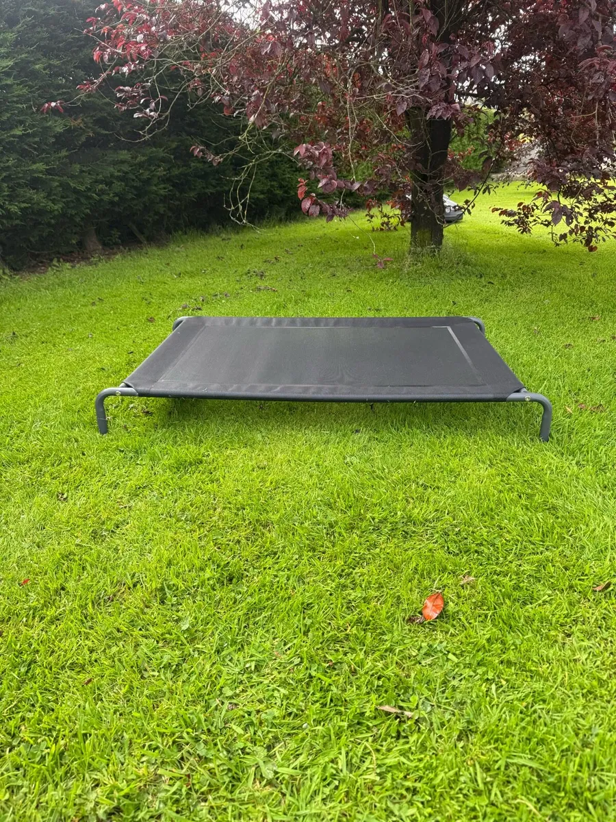 Dog bed - Image 1