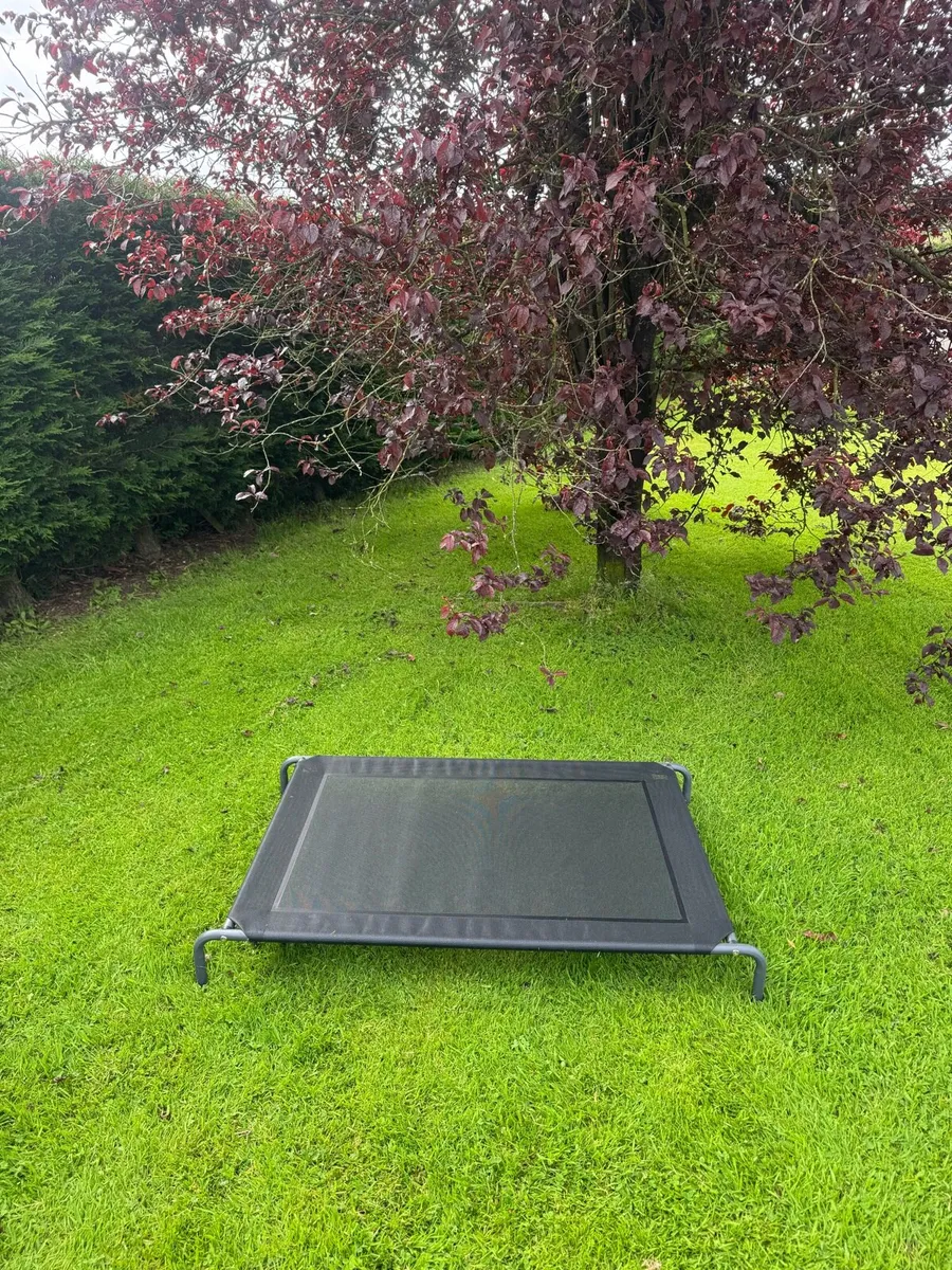 Dog bed - Image 2